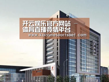 案例展示七